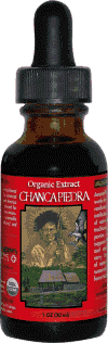 Chanca Piedra (Stone Breaker) Certified Organic 1 fl oz from AMAZON THERAPEUTIC LABORATORIES